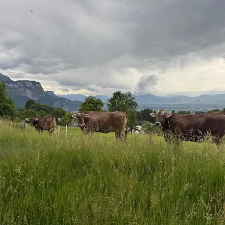 Auszeit Mit Weitblick! Ankommen & Loslassen Apartment Dornbirn
