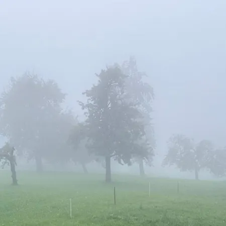 Auszeit Mit Weitblick! Ankommen & Loslassen *