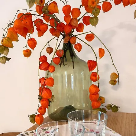 Auszeit Mit Weitblick! Ankommen & Loslassen Apartment Dornbirn